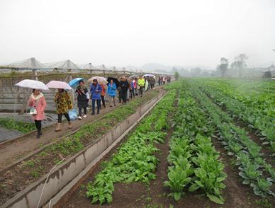 新型职业农民培训学员到丰野农场开展校外实践